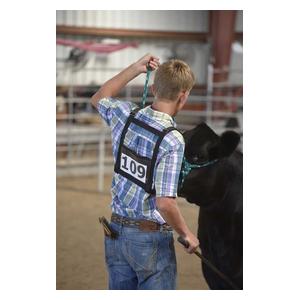 Exhibitor's Harness Weaver Livestock